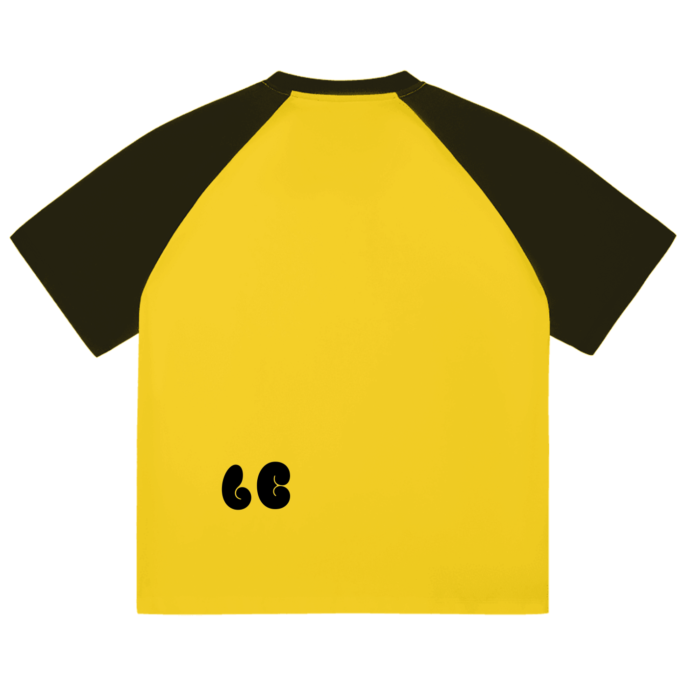 Color-Blocked Raglan Sleeve T-Shirt