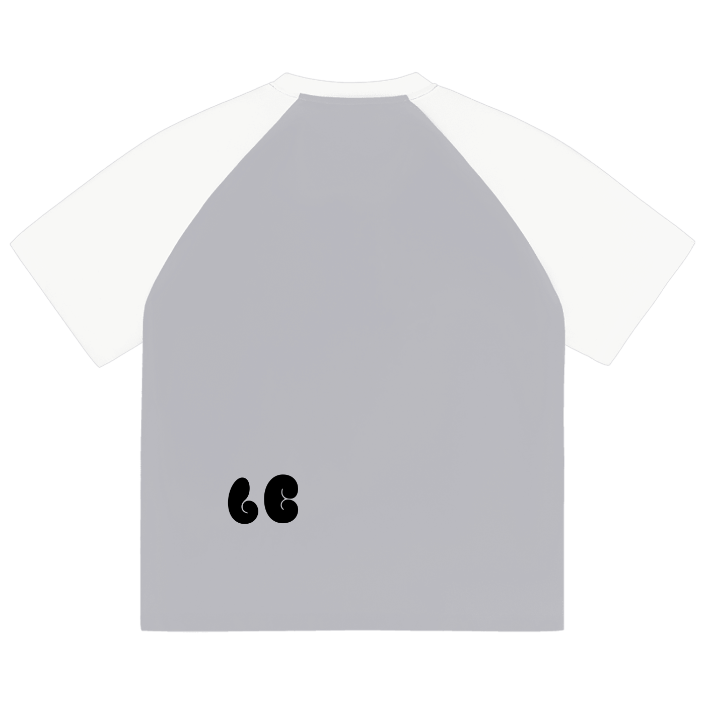 Color-Blocked Raglan Sleeve T-Shirt