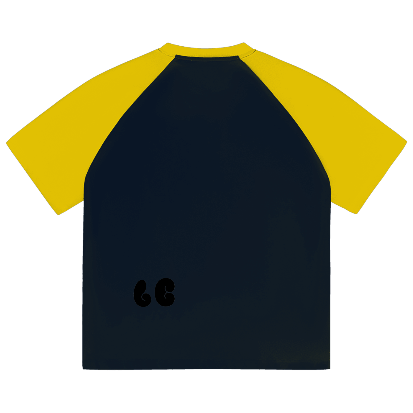 Color-Blocked Raglan Sleeve T-Shirt